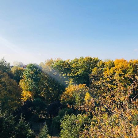 Apartmán Juliusz Sandoměř Exteriér fotografie