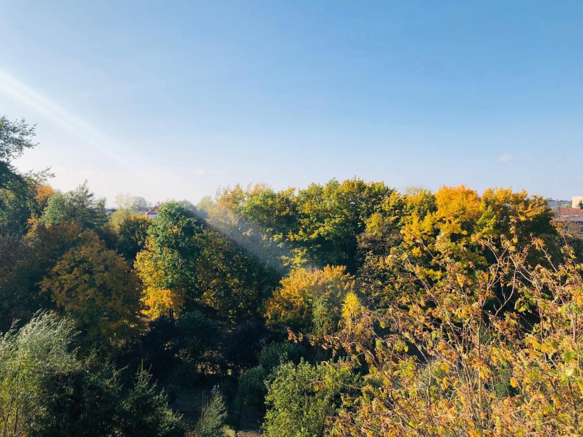 Apartmán Juliusz Sandoměř Exteriér fotografie