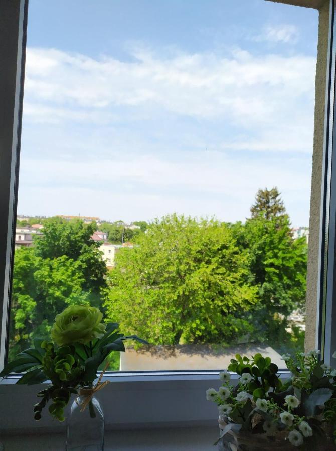Apartmán Juliusz Sandoměř Exteriér fotografie